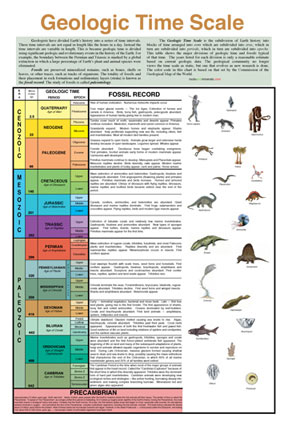 Fossil Record Chart