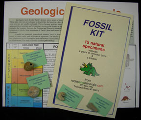 Fossil Collection
