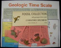 Fossil Collection