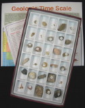 Fossil Set