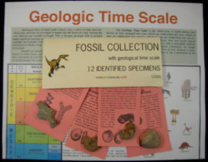 Fossils in a Bag