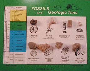 Fossil Card
