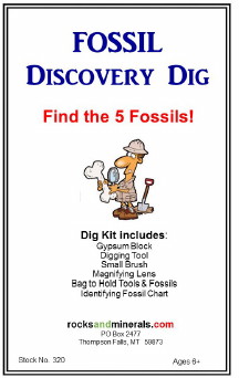 Fossil Dig