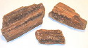 Petrified Wood