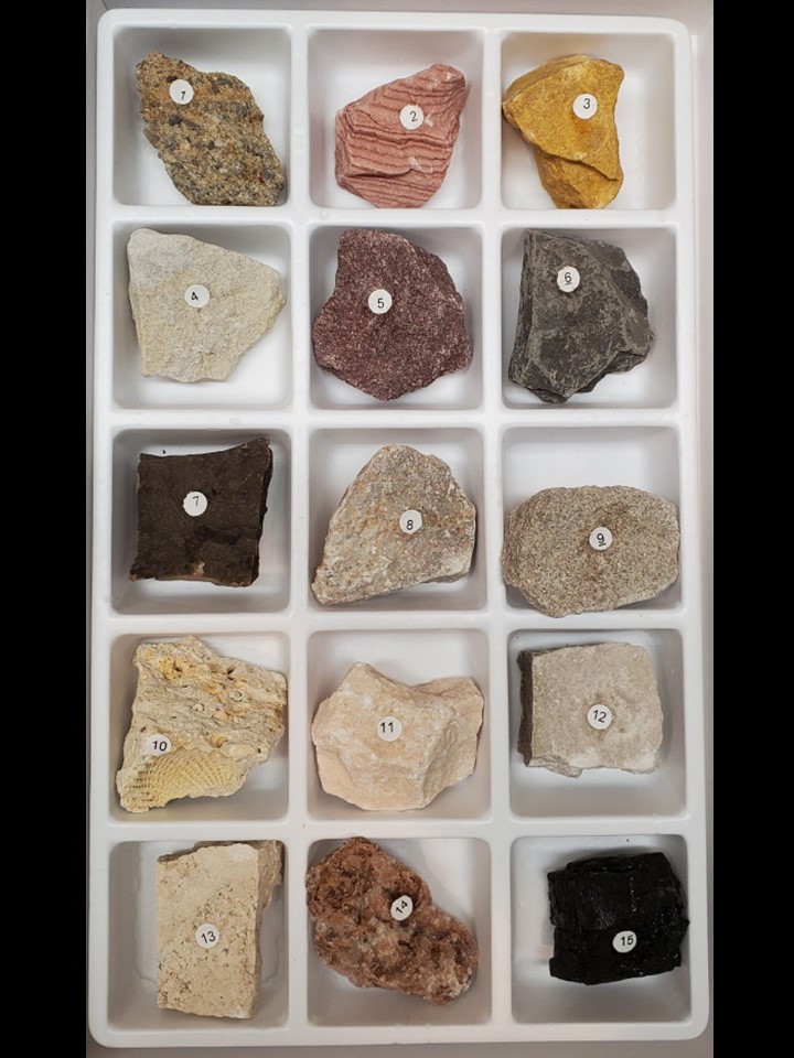 Boxed Collections