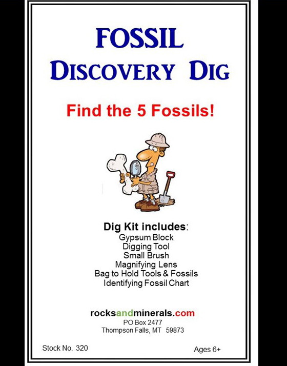 Fossil Collections