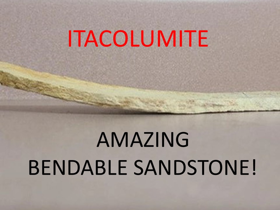 Individual Specimens
