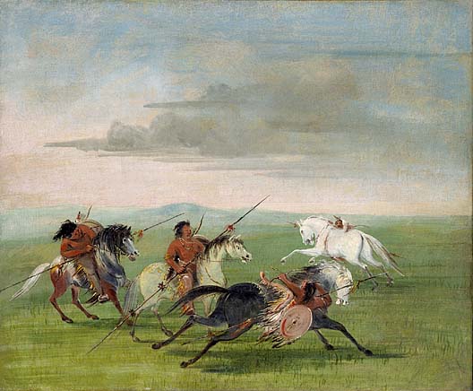 comanche